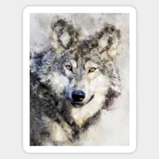 Dramabite Watercolor wolf wolves grey artsy artistic painting wildlife Sticker